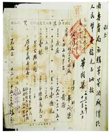 19511952꣬xs͡dҟϲP(gun)n